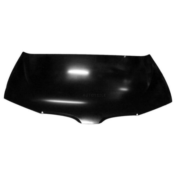 Hyundai Hood